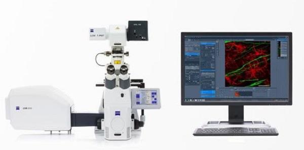 ZEISS　LSM 800 共焦点顕微鏡（生物用）