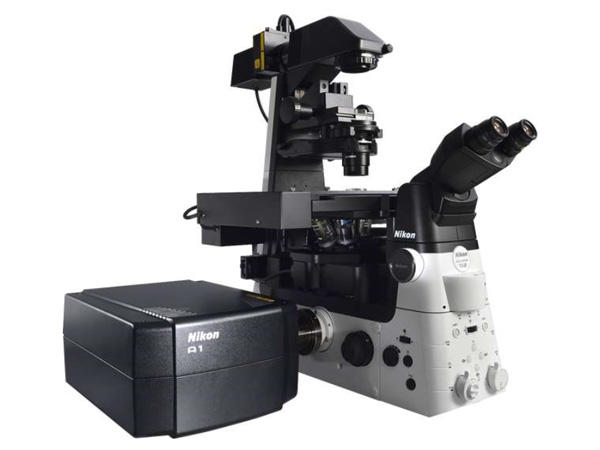 ニコン　共焦点レーザー顕微鏡システム A1R HD25