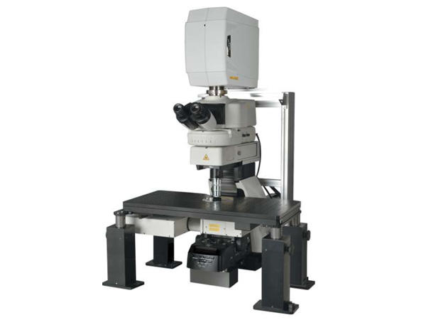 高速多光子共焦点レーザー顕微鏡システム