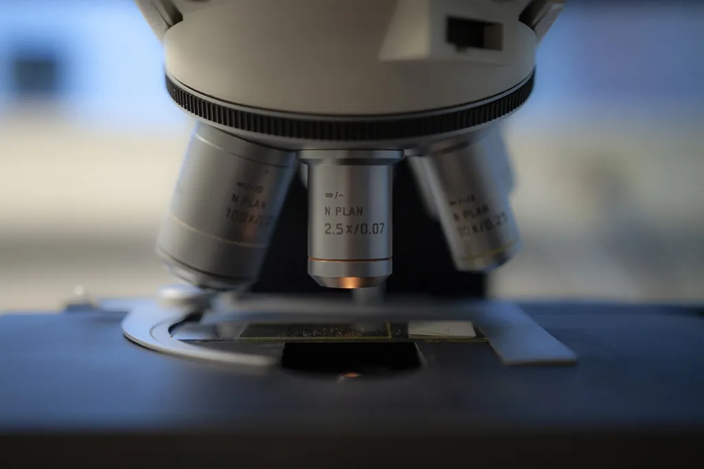 走査プローブ顕微鏡（SPM）とは？原理や応用分野について解説