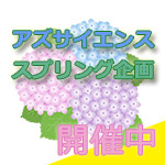 【日本製紙クレシア×アズサイエンス】　スプリング企画　カシミアティッシュプレゼントキャンペーン開催中