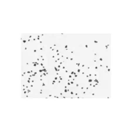粒径解析システム PowderShape