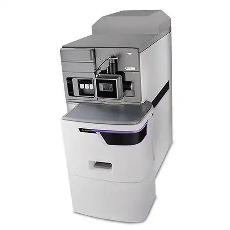 マトリックス支援レーザー脱離イオン化 質量分析イメージング（MSI） MALDI