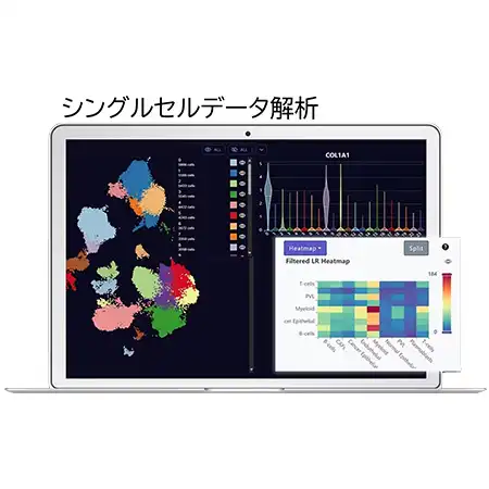 統合マルチオミクス解析 クラウドデータ解析ソフトウェア CDIAM Multi-Omics Studio