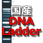 国産 DNA Ladderおまとめ 50％OFF キャンペーン