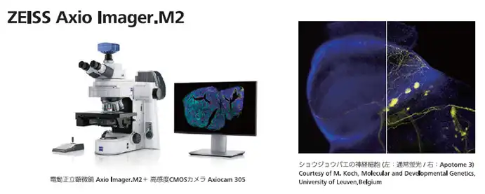 7-Axio-Imager-M2-1127